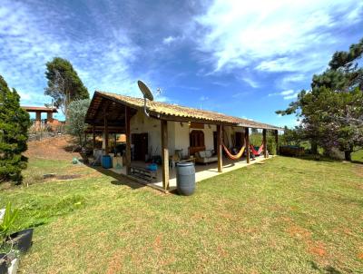 Chcara para Venda, em , bairro curral, 3 dormitrios, 2 banheiros, 2 sutes