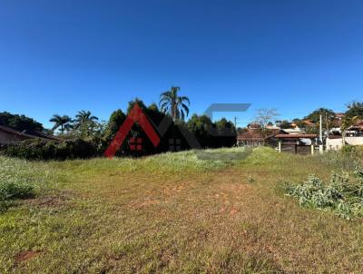 imagem-miniatura